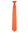 PR755 Premier 'Colours' Satin Clip Tie Orange colour image